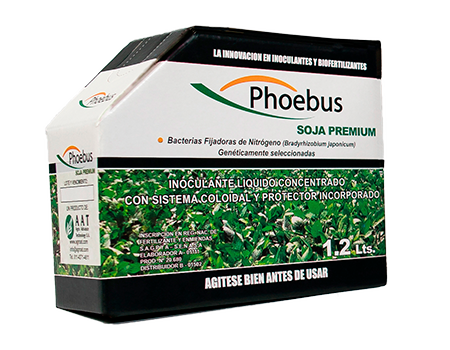 PHOEBUS SOJA PREMIUM