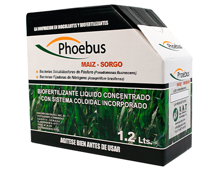 PHOEBUS MAÍZ-SORGO